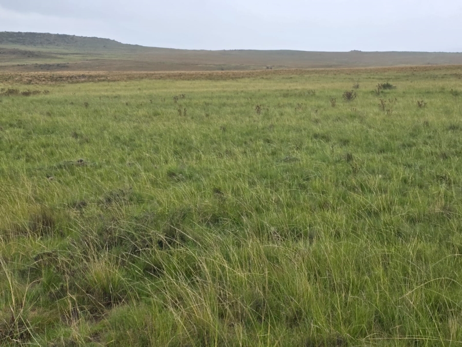 4 Bedroom Property for Sale in Jamestown Eastern Cape